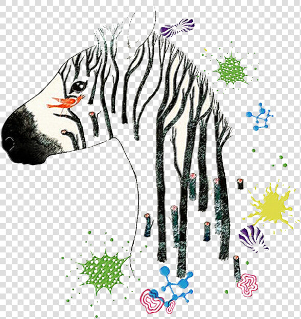  zebra  zebraprint  zebrahead  zebrastyle  zebracross   Illustration  HD Png DownloadTransparent PNG