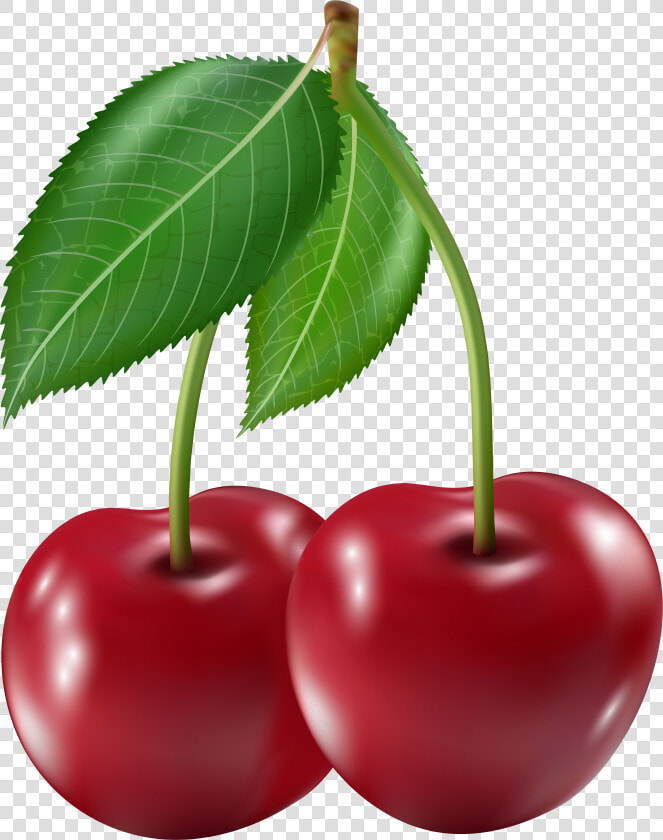 Frutas Cereja Clipart   Png Download   Imagens De Frutas Png  Transparent PngTransparent PNG