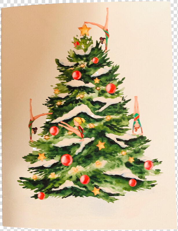 Christmas Tree Freepik  HD Png DownloadTransparent PNG