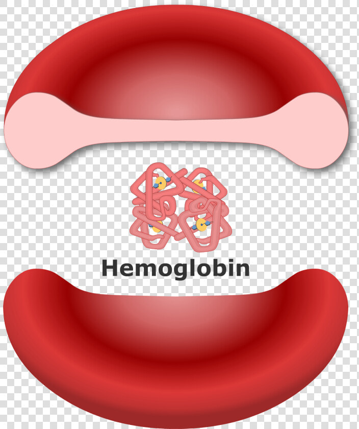 Hemoglobin In A Red Blood Cell  HD Png DownloadTransparent PNG