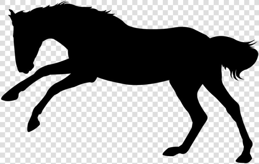 Horse  Horse Gallop  Gallop  Animal  Stallion   Animated Horse Silhouette  HD Png DownloadTransparent PNG