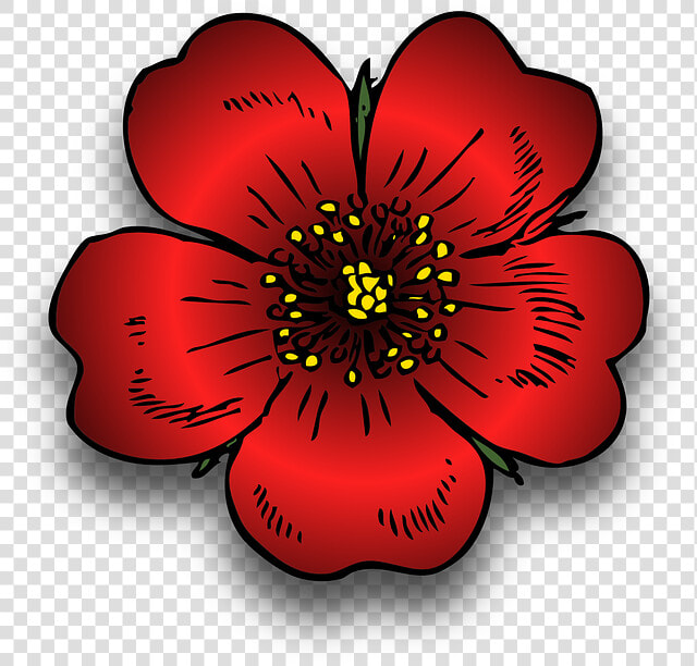 Plant  Red  Rosa  Rose  Wild  Blossom  Beautiful  Bloom   Wild Rose Clip Art  HD Png DownloadTransparent PNG