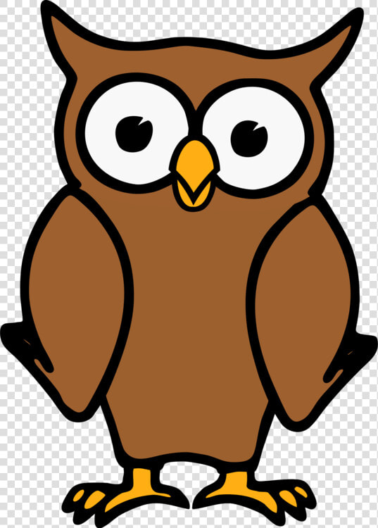 Owl wildlife snout   Owl Clipart Transparent Background  HD Png DownloadTransparent PNG