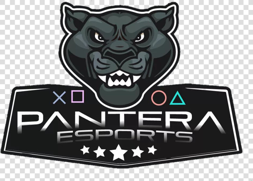 Transparent Pantera Png   Pantera E Sports  Png DownloadTransparent PNG