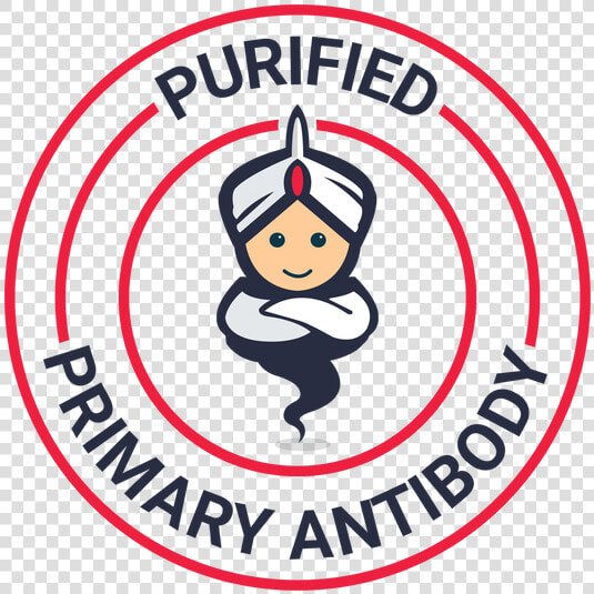 Antibody  HD Png DownloadTransparent PNG