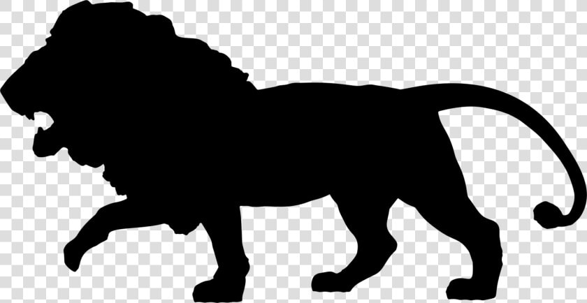 Snout wildlife puma   Lion African Animal Silhouette  HD Png DownloadTransparent PNG