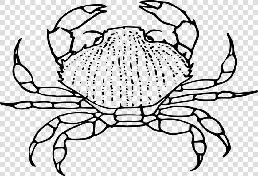 Line Art plant decapoda   Black And White Crab Clip Art  HD Png DownloadTransparent PNG