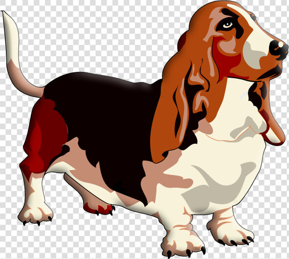 Basset Hound Clip Art  HD Png DownloadTransparent PNG