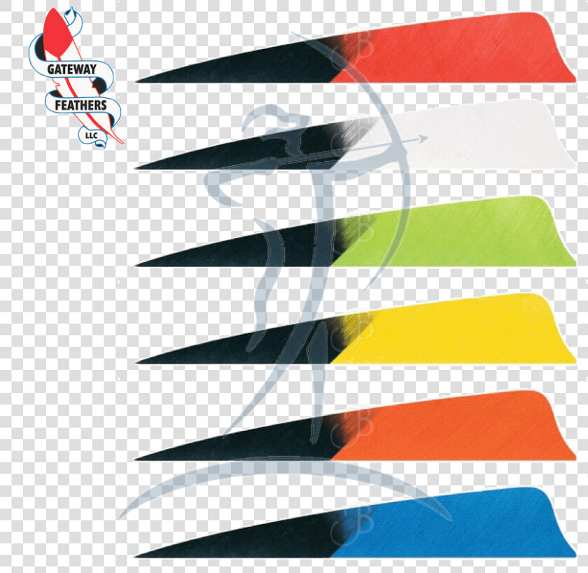 Gateway Hann Bun Kuro Turkey Feathers  HD Png DownloadTransparent PNG