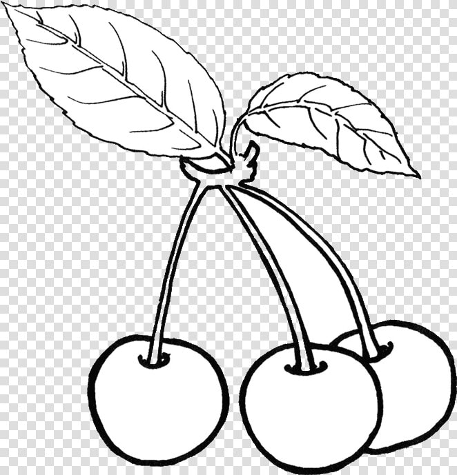 Clip Art Fruits Black And White Clipart   Black And White Transparent Cherry  HD Png DownloadTransparent PNG