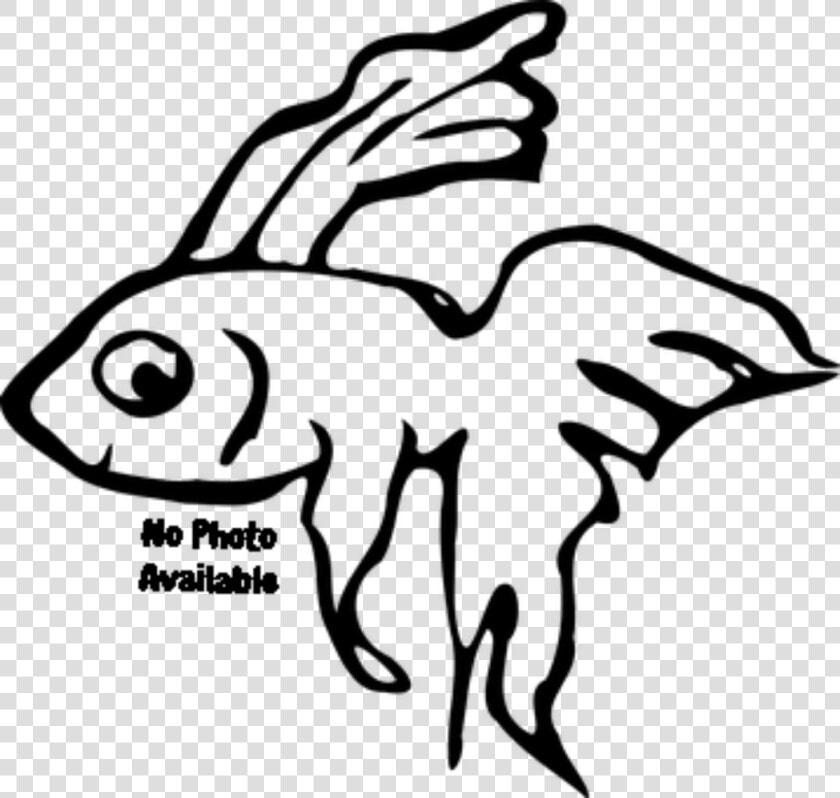 Betta Fish Black And White  HD Png DownloadTransparent PNG