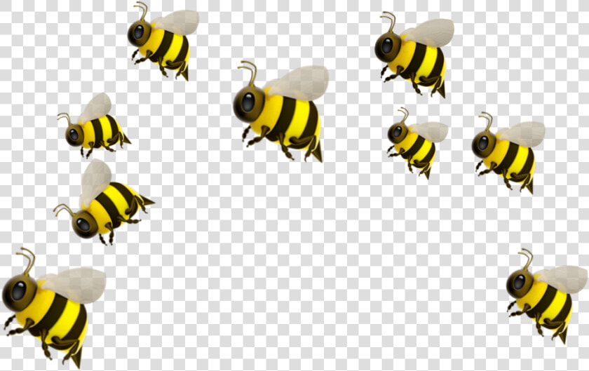  freetoedit   Honeybee  HD Png DownloadTransparent PNG