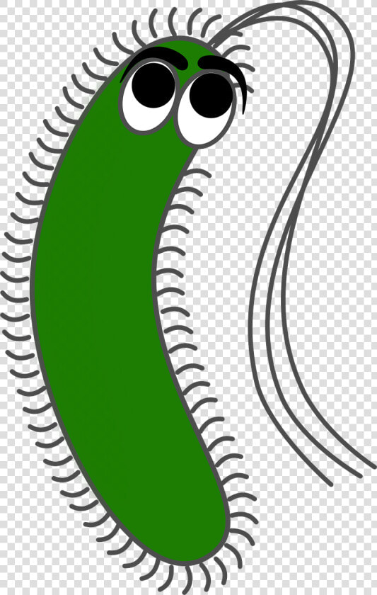 Bacteria Png   Gram Negative Bacteria Cartoon  Transparent PngTransparent PNG