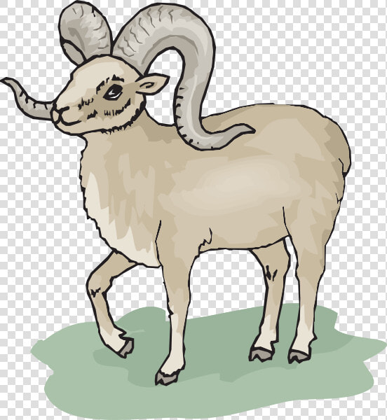 Gray Bighorn Sheep Svg Clip Arts   Bighorn Sheep Ram Clip Art  HD Png DownloadTransparent PNG