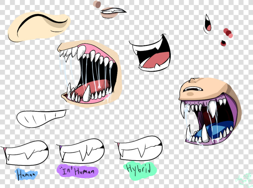 Drawing Teeth Creepy   Types Of Teeth Drawings  HD Png DownloadTransparent PNG