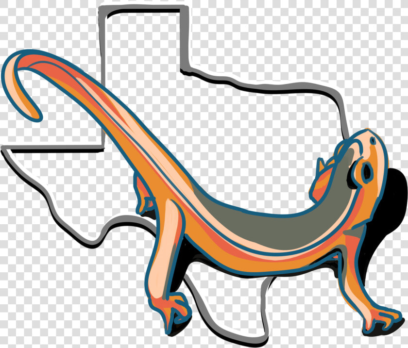 The Teaching Newt  HD Png DownloadTransparent PNG