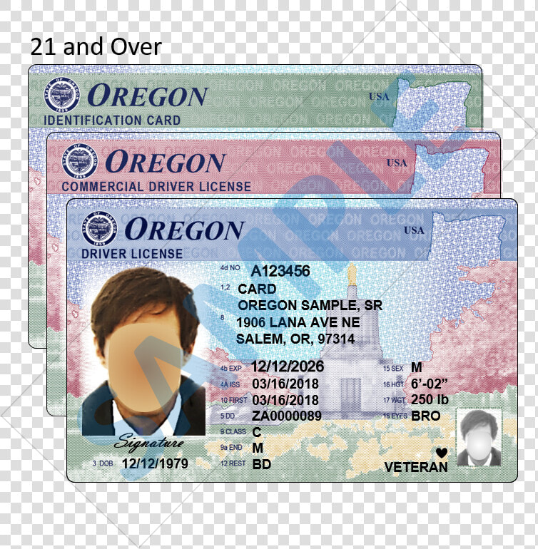 Uses Nation wide Standards For Layout And Content    Real Oregon Drivers License  HD Png DownloadTransparent PNG