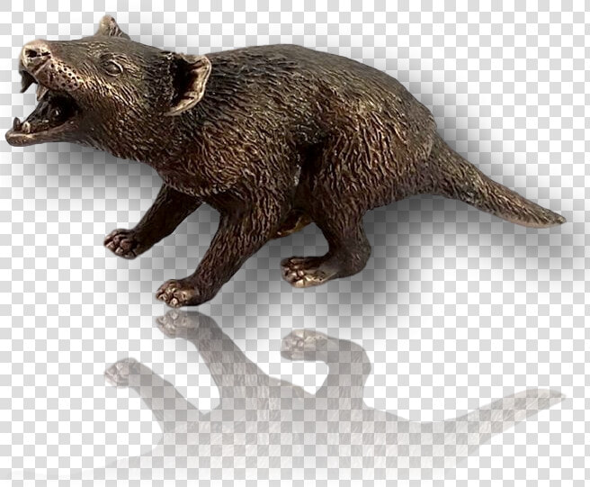 Tasmanian Devil Png  Transparent PngTransparent PNG