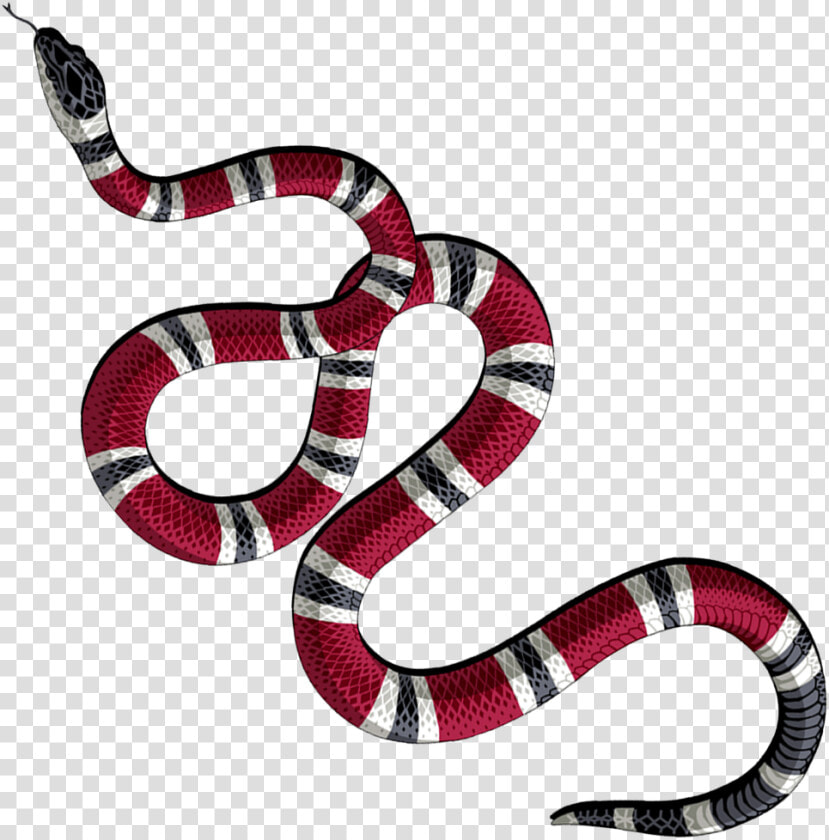 Milksnake  HD Png DownloadTransparent PNG