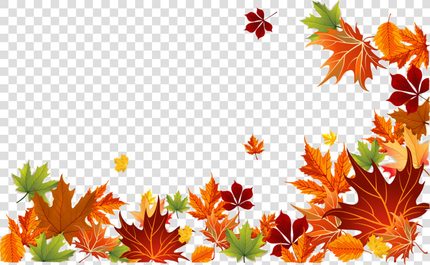 Leaf Color Leaves Autumn Euclidean Vector Clipart   Transparent Fall Leaves Background  HD Png DownloadTransparent PNG