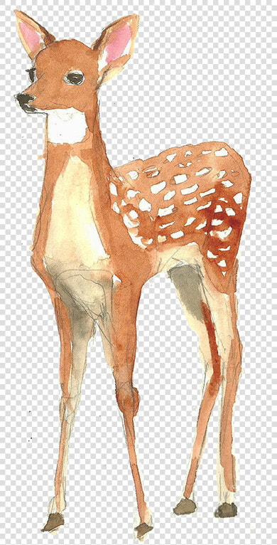 Painting Poster Illustration Deer   Deer Painting Png  Transparent PngTransparent PNG