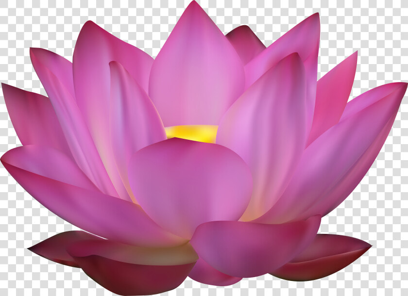 Transparent Lotus Vector Png   Flower Pink Lotus Png  Png DownloadTransparent PNG