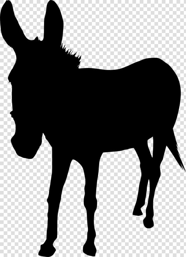 Burro  HD Png DownloadTransparent PNG