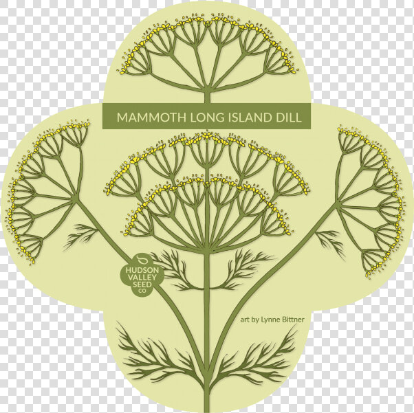 Transparent Mammoth Png   Everwilde Farms Mammoth Long Island Dill Seeds  Png DownloadTransparent PNG