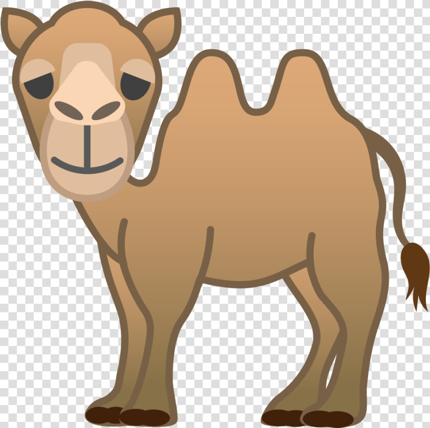 Camel Clipart Hump   Two Hump Camel Png  Transparent PngTransparent PNG