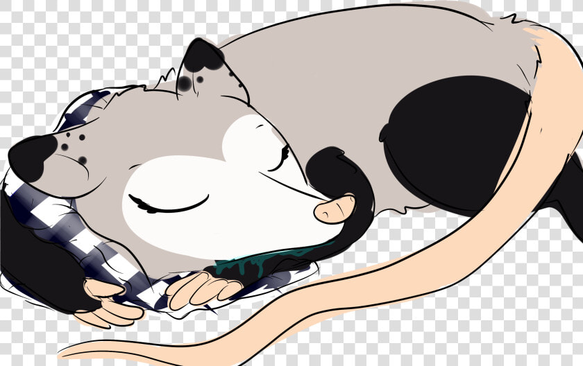 Possum Queen  lt 3 « Older   Cartoon  HD Png DownloadTransparent PNG