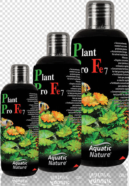 Plant Pro Fe7   Aqua San Aquatic Nature  HD Png DownloadTransparent PNG