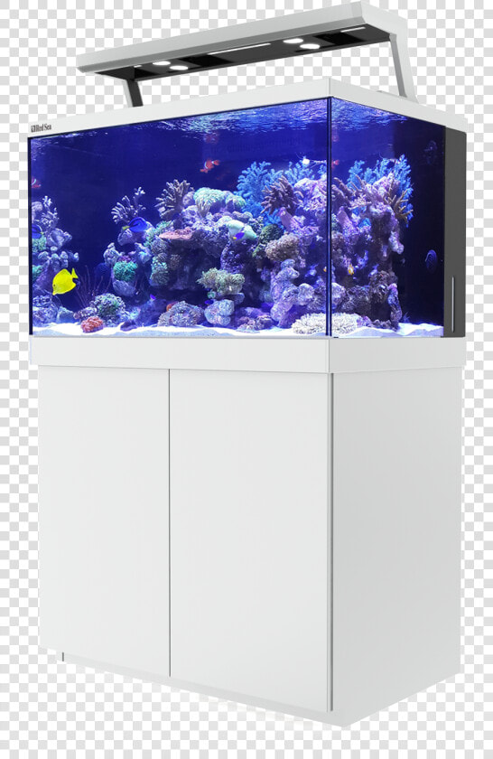 Transparent Piping Aquarium  HD Png DownloadTransparent PNG