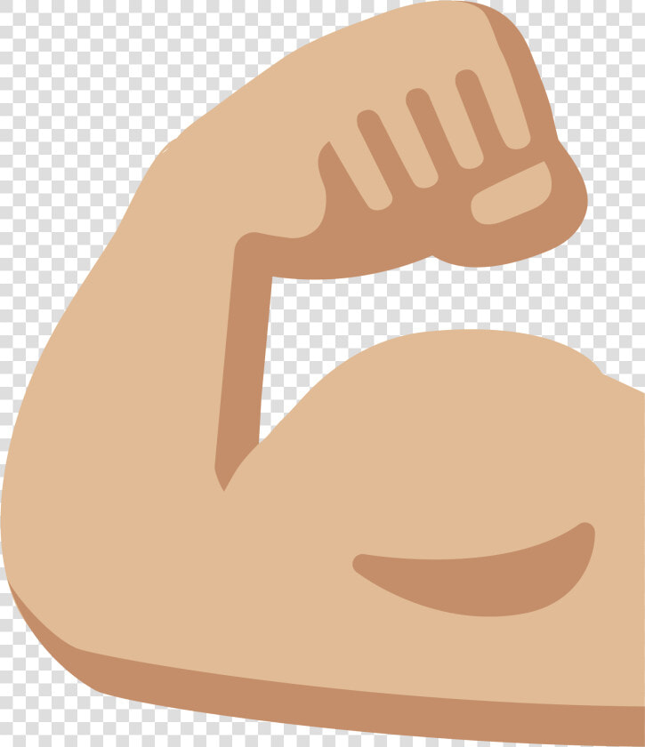 Strong Arm Png   Muscles Clipart  Transparent PngTransparent PNG