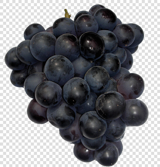 Uvas Negras  HD Png DownloadTransparent PNG