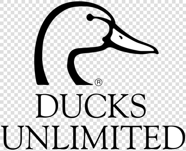 Ducks Unlimited Logo Svg  HD Png DownloadTransparent PNG