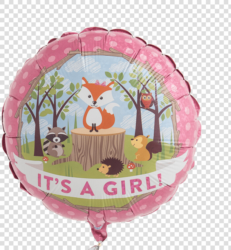 Woodland Critters Baby Girl   Its A Boy Woodland Creatures  HD Png DownloadTransparent PNG