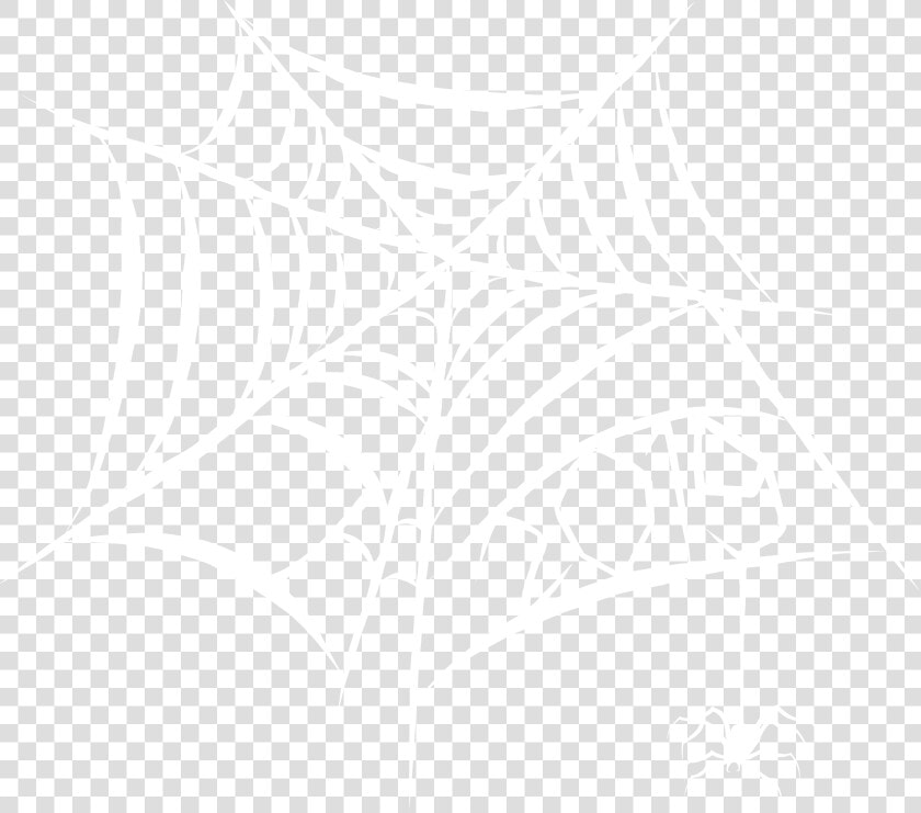 A White Spiderweb With 2019 Spelled Out In The Web   Illustration  HD Png DownloadTransparent PNG