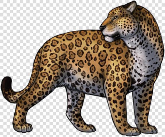 Jaguar Png Transparent Images   Jaguar Png  Png DownloadTransparent PNG