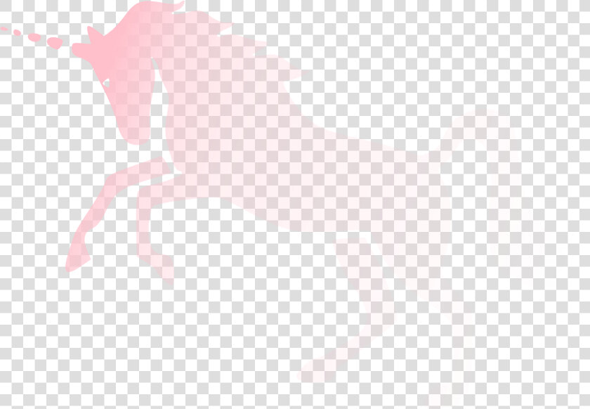 Pink Religion Invisibility Unicorn Invisible Parody   Stallion  HD Png DownloadTransparent PNG