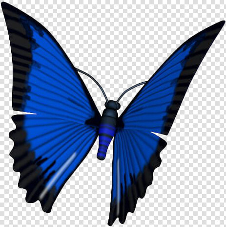 Blue Animated Butterfly Png High quality Image   Free 3d Animated Butterfly  Transparent PngTransparent PNG