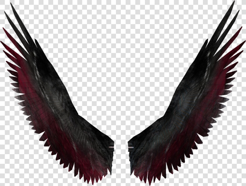 Wings Clipart Realistic   Black And Red Angel Wings  HD Png DownloadTransparent PNG