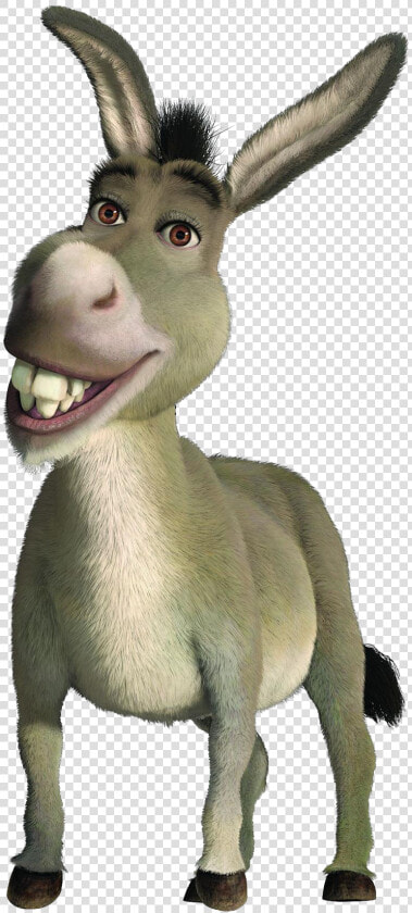 Shrek And Donkey Png   Donkey Cuz I M All Alone  Transparent PngTransparent PNG