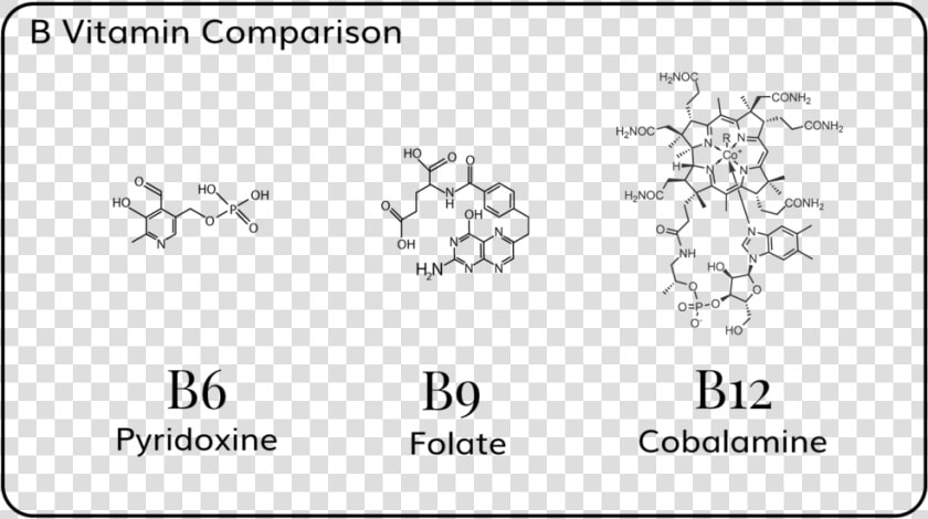 Vitamin B Comparison   Chemical Structure Of Vitamin B  HD Png DownloadTransparent PNG