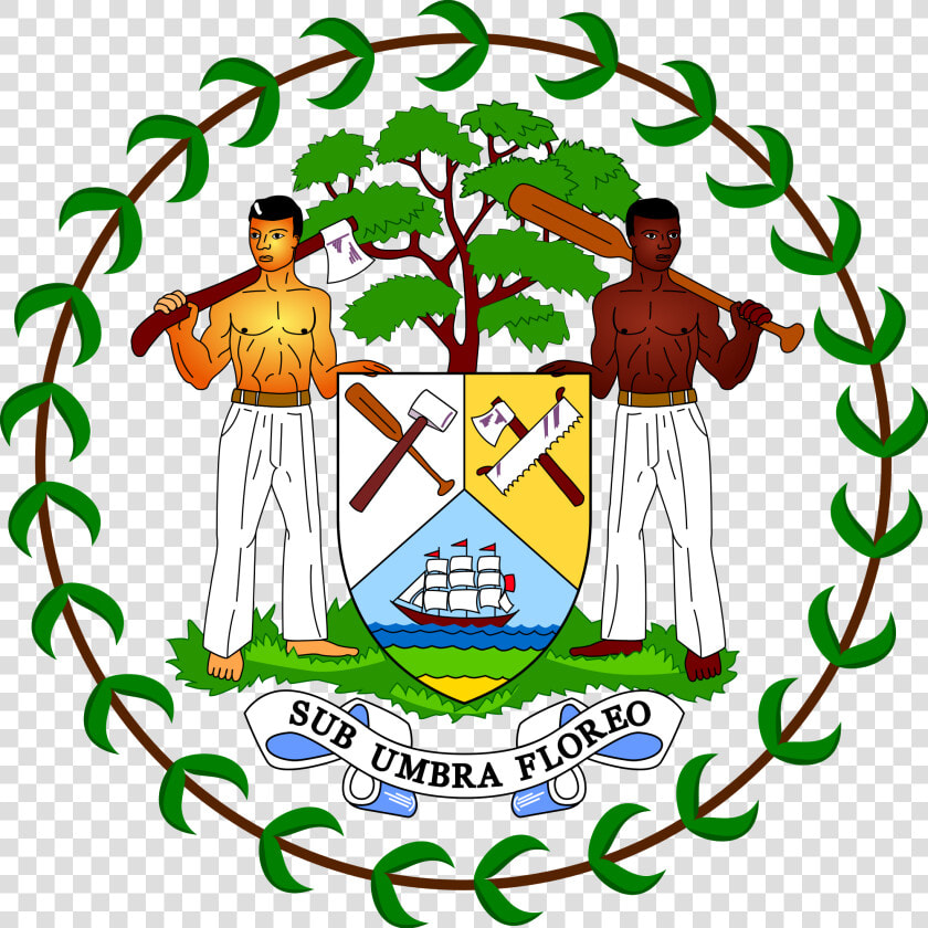 Belize Flag  HD Png DownloadTransparent PNG