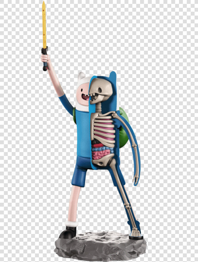 Xxray Finn  HD Png DownloadTransparent PNG