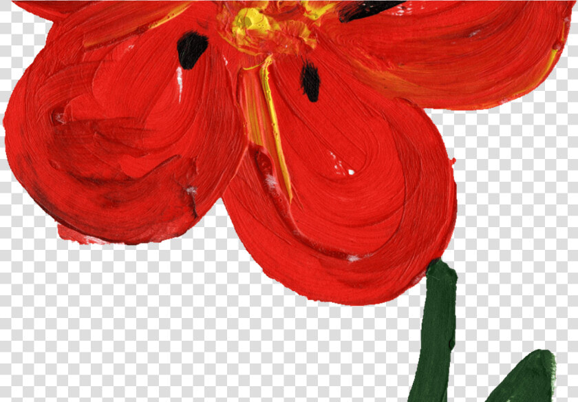 Beautiful Flowers 2019 Red Flower Painting Beautiful   Anthurium  HD Png DownloadTransparent PNG