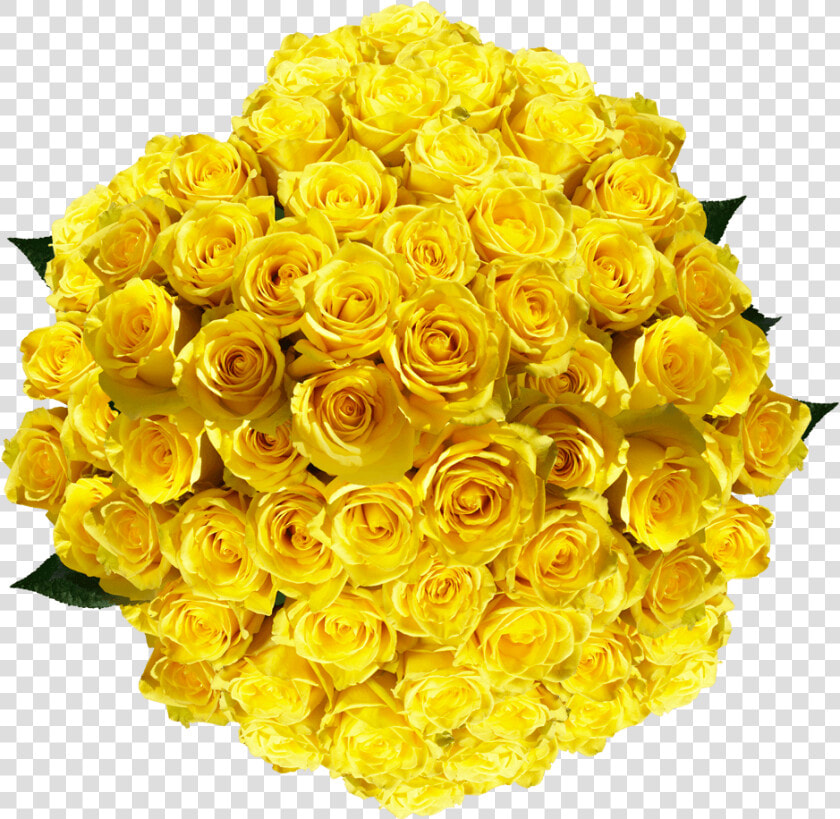 Vibrant Pure Yellow Roses   Floribunda  HD Png DownloadTransparent PNG