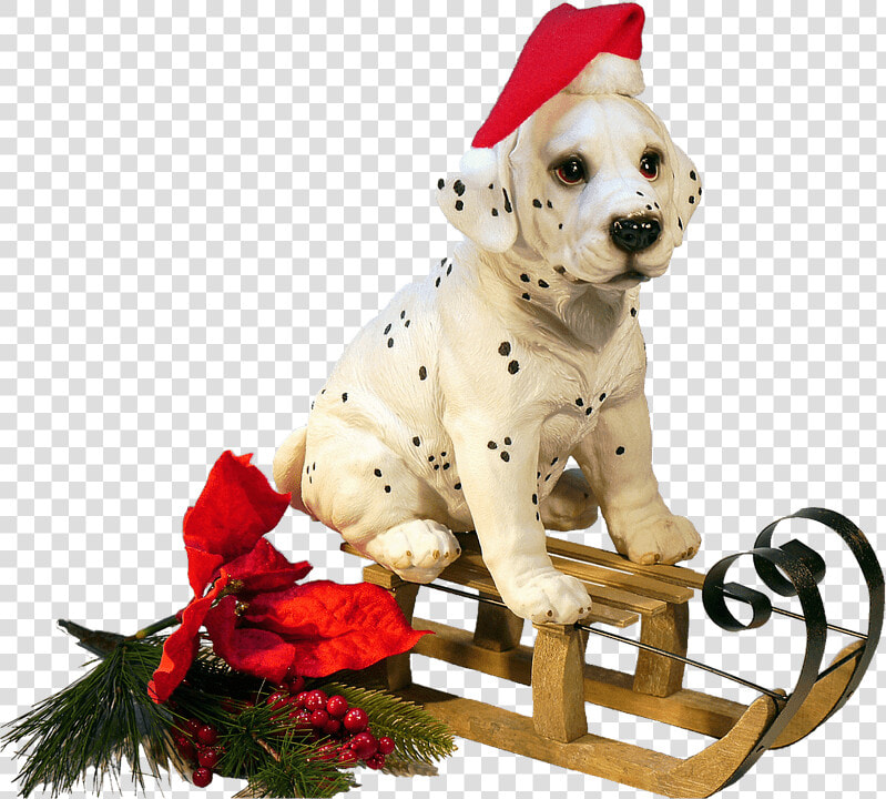 Dalmatian Clipart Christmas   Cane Natale Png  Transparent PngTransparent PNG