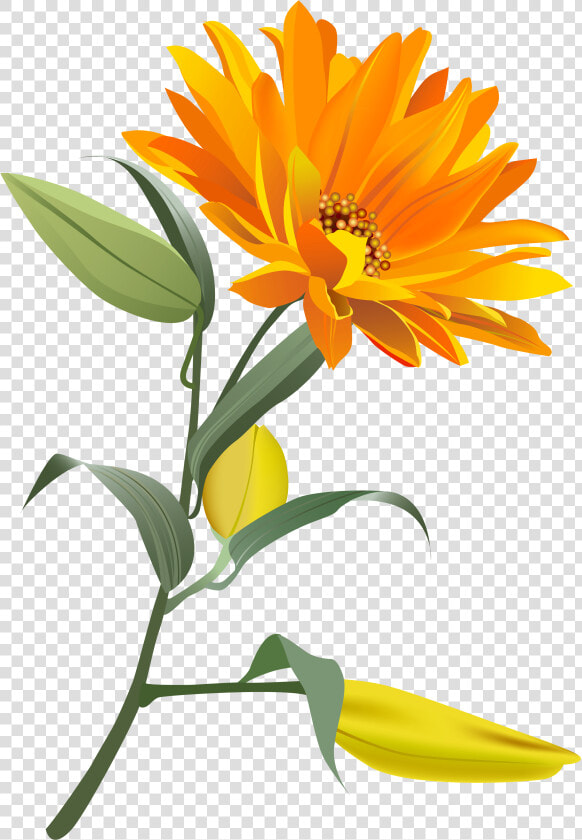 Orange Flower Png Clip Art Imageu200b Gallery Yopriceville   Transparent Background Orange Flower Png  Png DownloadTransparent PNG