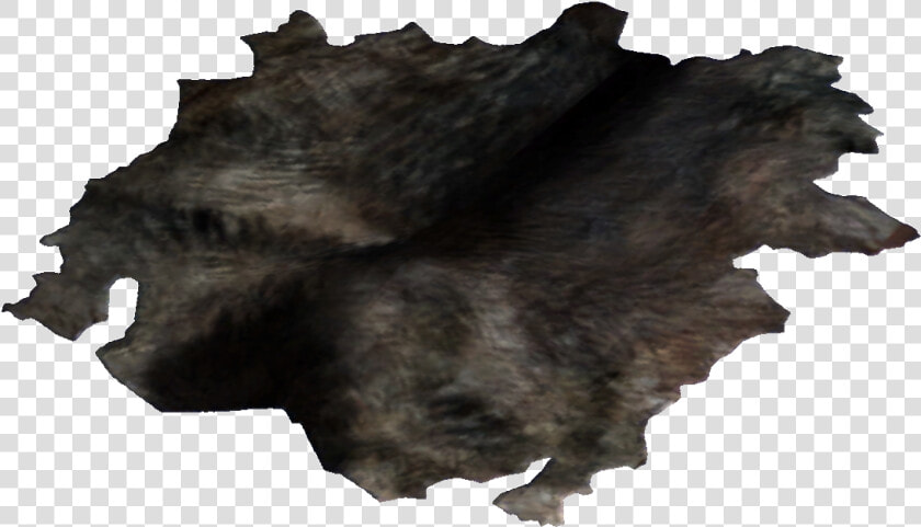 Dog Hide   Шкура Пнг  HD Png DownloadTransparent PNG